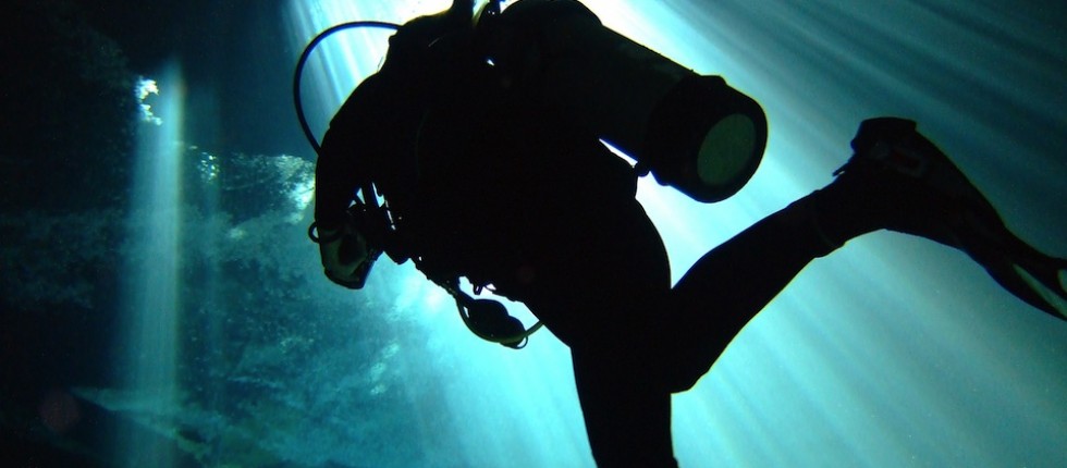 The Azores are today a world reference in diving. We offer several packages at competitive prices.